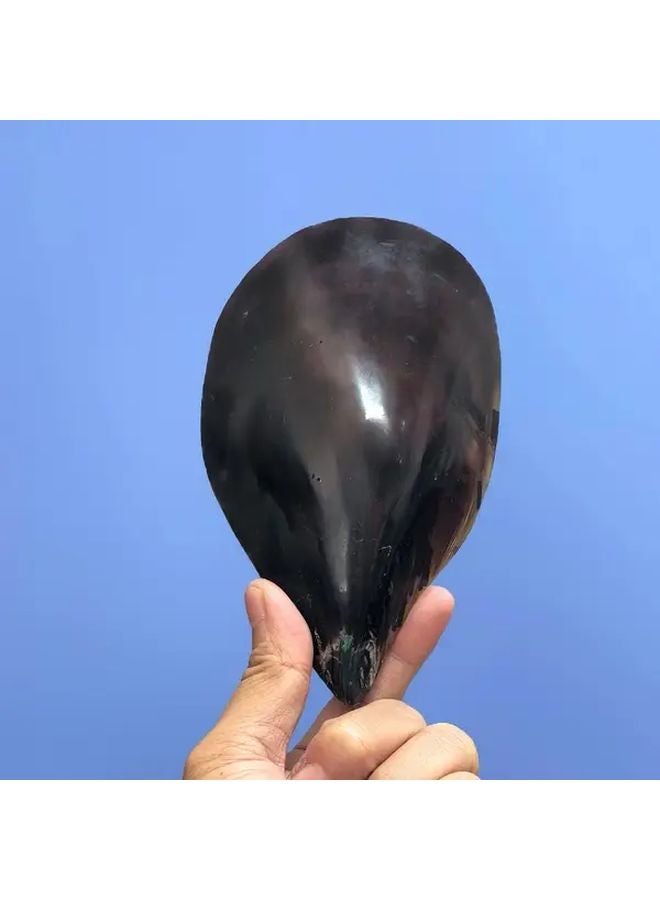 قوقعة بقرة كبيرة ملونة بالحبر، ديكور حوض أسماك على الطراز المتوسطي مصنوع يدويًا - Image 5